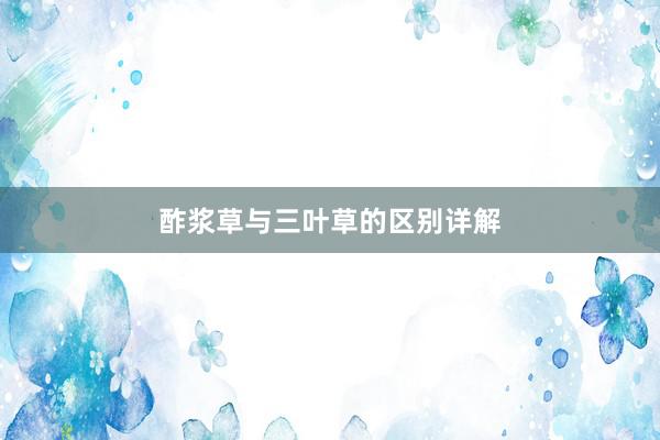 酢浆草与三叶草的区别详解