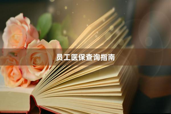 员工医保查询指南