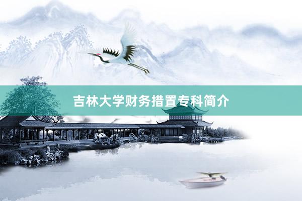 吉林大学财务措置专科简介